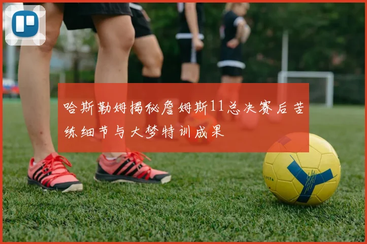 哈斯勒姆揭秘詹姆斯11总决赛后苦练细节与大梦特训成果